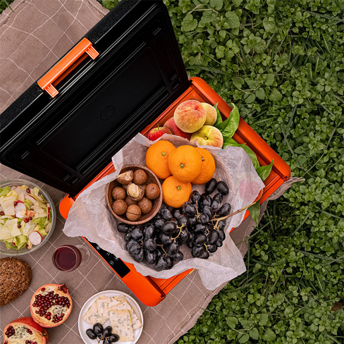 Холодильник автомобильный Alpicool CL40 (12/24)