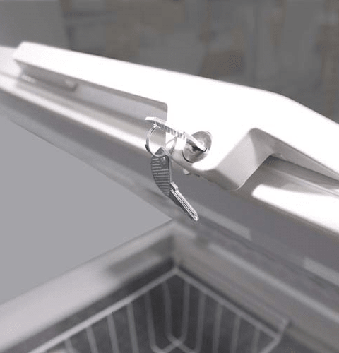 Ларь морозильный Aucma BD-325