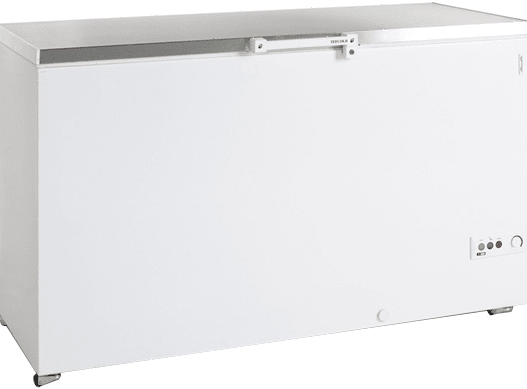 Ларь морозильный Tefcold FR505S