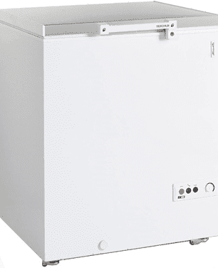 Ларь морозильный Tefcold FR205S/R600