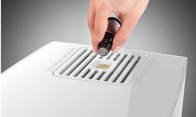 Традиционный увлажнитель воздуха Boneco S250