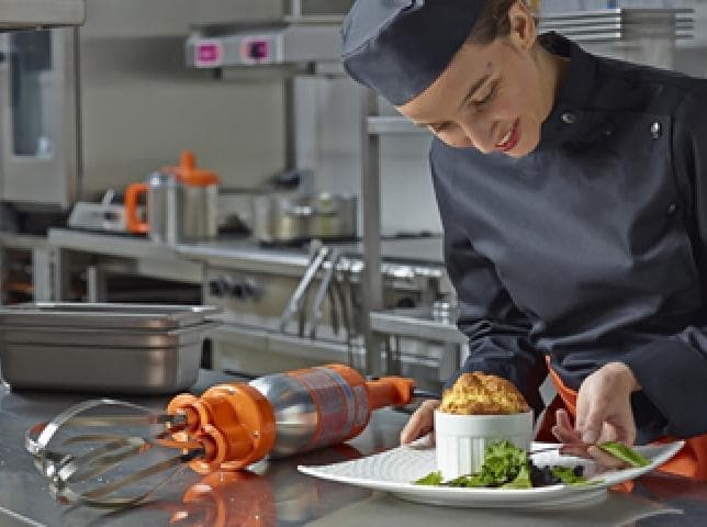 Миксер ручной Dynamic PMF 250 COMBI PACK 400 MF015