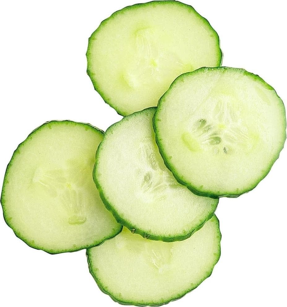 Набор из 5 дисков Robot Coupe 1960