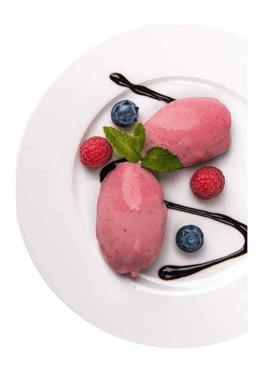 Гомогенизатор Taurus ROWZER PLUS