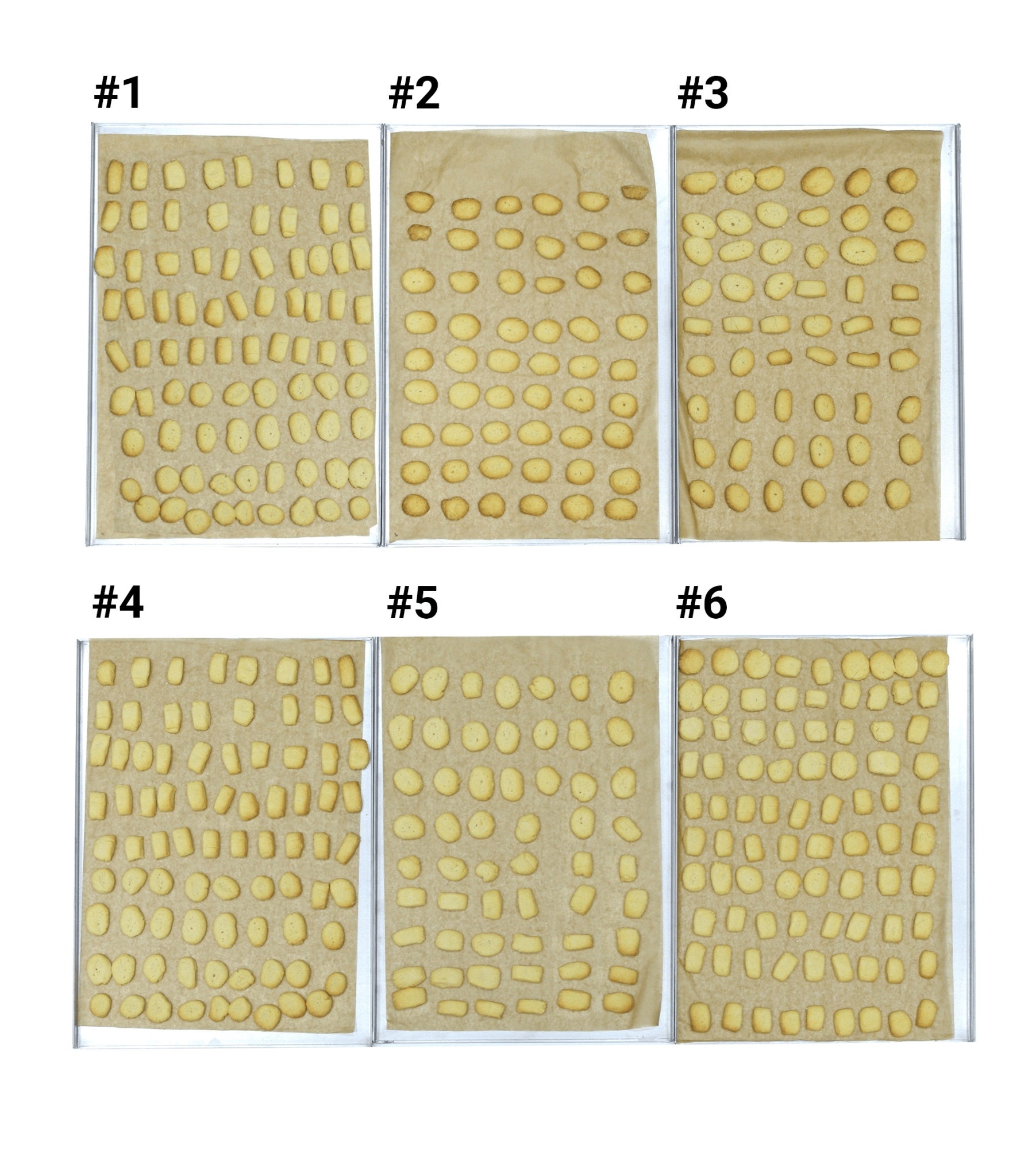 Пароконвектомат Distform MyChef Bake 6